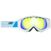 Giro Root Goggle