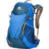 Gregory Fury 24 Backpack