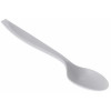 GSI Outdoor Lexan Teaspoon  