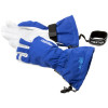 Hestra Army Leather Gore-Tex XCR Glove 