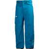 Helly Hansen Agenda Cargo Pant