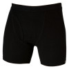 Icebreaker Boxers w/ Fly - Men's