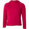 Icebreaker BodyFit 260 Explorer Hoody - Toddler Girls'
