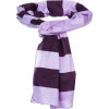 Icebreaker Vista Scarf