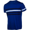 Icebreaker Tech Lite Streak T-Shirt - Short-Sleeve - Men's