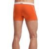 Icebreaker BodyFit 150-Ultralite Anatomica Boxer - Men's&nbsp;Back