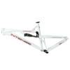 Intense Cycles Tracer VP Mountain Bike Frame