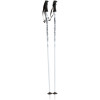 Joystick Skeletor Jr. Ski Poles