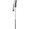 K2 4 Speed Ski Pole