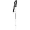 K2 V12 Ski Pole
