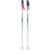 K2 Ski Pole