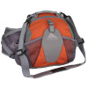 Kelty Kestrel Lumbar Pack - 550cu in