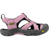 Keen Venice