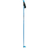 photo of a Komperdell ski/snowshoe