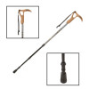 LEKI Wanderfreund Antishock Trekking Pole - 1 Pole