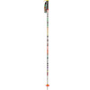 Line Pollard's Paint Brush Ski Pole