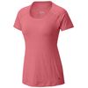 Mountain Hardwear Mighty Stripe Shirt - Short-Sleeve - Women's&nbsp;Paradise Pink