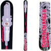 Nordica Blower Alpine Ski