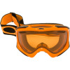 Oakley Ambush Goggles
