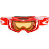 Oakley Ambush Goggles