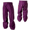 Oakley Alps Pant - Men's