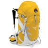 Osprey Packs Talon 33 Backpack - 1900-2000cu in