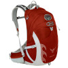 Osprey Talon 22