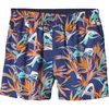 Patagonia Go-To Boxer - Men's&nbsp;Piton Paradise/Channel Blue
