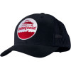 Patagonia Trucker Hat