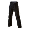 Patagonia Rubicon Pant - Men's