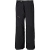 Patagonia Shelter Stone Pant - Men's