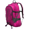 Patagonia Refugio Backpack - 1709cu in Magenta, One Size