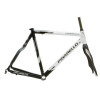 Pinarello Dogma FP Frameset