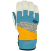 Pow Gloves Royal Glove - Men's