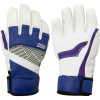 Pow Gloves Royal Glove