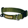 Ruffwear Hoopie Dog Collar Forest Green, L - Ruffwear