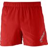 Salomon Agile Short - Men's&nbsp;Back