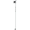 Salomon Active Ski Pole