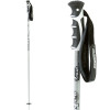 Scott A-12 Ski Poles