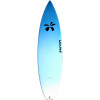 Surftech Dick Brewer Fish Surfboard