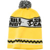 Skullcandy Chuck Beanie