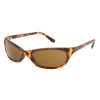 Smith Toaster Sunglasses - Interchangeable