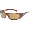Smith Proof Sunglasses