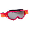 Smith Anthem Goggle
