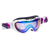 Smith Anthem Goggle