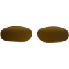 Smith Toaster Sunglass Replacement Lenses