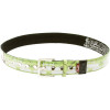 Spacecraft Code Arcadian Belt