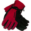 Spyder Sestriere Gore-Tex Glove 