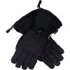 Spyder Over Web Gore-Tex Glove
