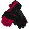 Spyder Sestriere Gore-Tex Glove 